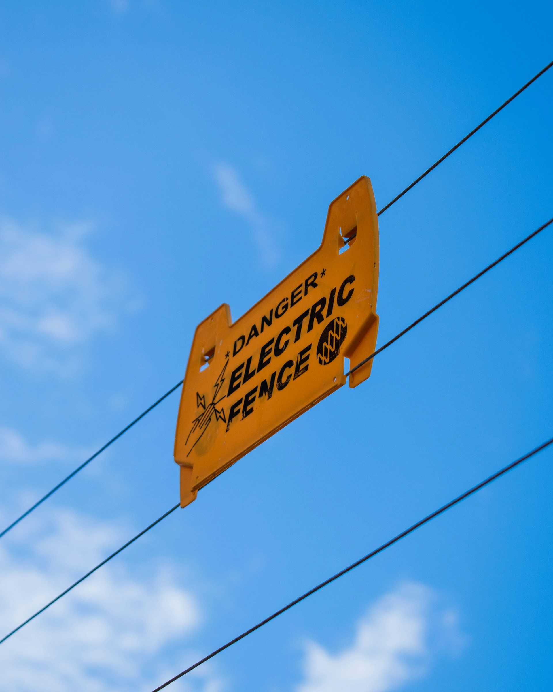 Electric fence
